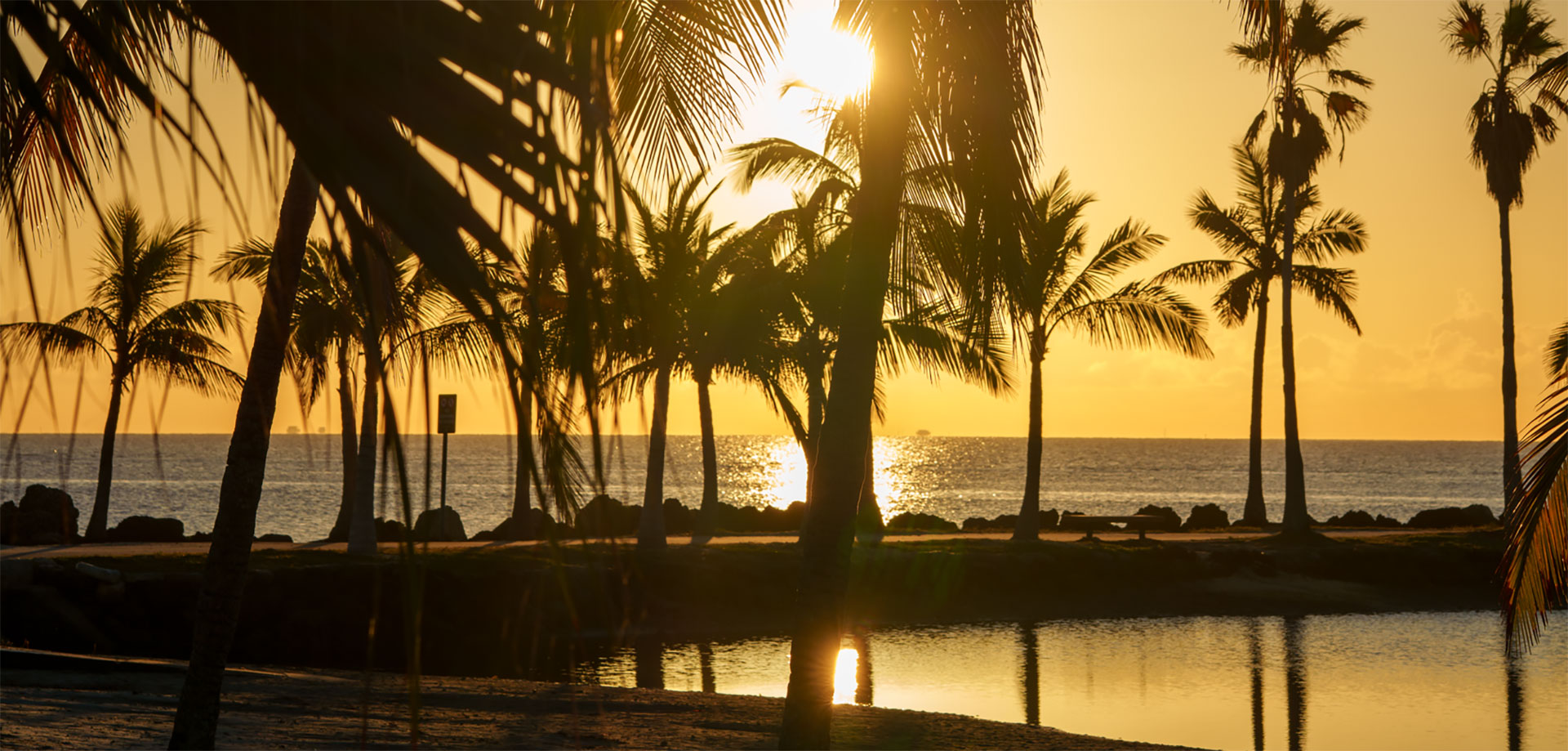 Palm trees silhouetted against a golden South Florida sunset over the ocean